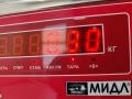 петля двери Mazda 3 BK 2004, красный, хетчбэк 5 дв. - фото №2