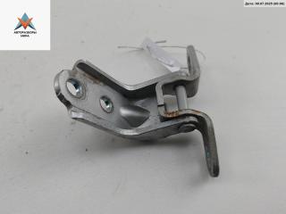 петля двери Kia Carens 3 поколение 2006, серый, минивэн