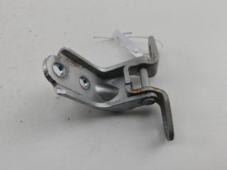 петля двери Kia Carens 3 поколение 2006, серый, минивэн