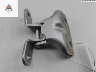 петля двери Kia Carens 3 поколение 2006, серый, минивэн