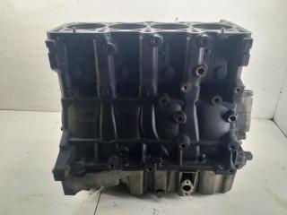блок цилиндров Volkswagen Passat B6 2006, 2.0 л., бензин, АКПП, 06F103021M