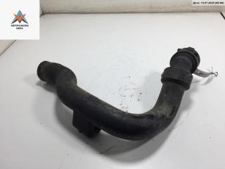 патрубок радиатора Volkswagen Passat B5 [рестайлинг] 2001, 1.9 л., дизель, 8D0121101AD