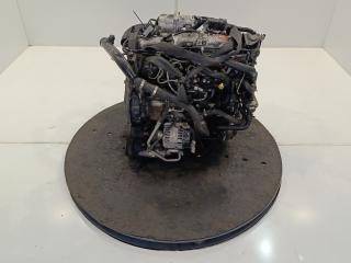 двигатель Ford Focus 2 поколение 2006, цвет, KKDA