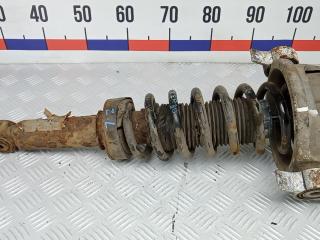 амортизатор задний левый Volkswagen Touareg 1 поколение 2005, 3.0 л., дизель, АКПП, внедорожник 5 дв., 7L6513029E, 7L6511115K, 7L0512301C