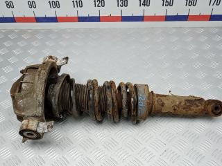 амортизатор задний правый Volkswagen Touareg 1 поколение 2005, 3.0 л., дизель, АКПП, внедорожник 5 дв., 7L6513029E, 7L6511115K, 7L0512301C