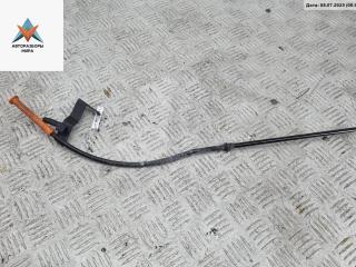 щуп двигателя Volkswagen Golf 5 поколение 2004, 1.4 л., бензин, МКПП, серый, хетчбэк 3 дв., 036115629P