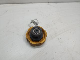 пробка расширительного бачка Opel Zafira B 2007, 1.9 л., дизель, МКПП, серый, минивэн