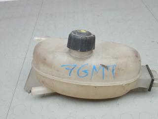 бачок расширительный Opel Vivaro A [рестайлинг] 2008, 2.0 л., CDTi, дизель, МКПП, микроавтобус