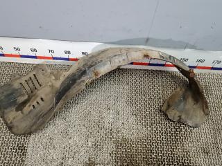 Подкрылок передний левый Mitsubishi Pajero 3 поколение [рестайлинг] 2004, 3.2 л., дизель, МКПП, внедорожник 5 дв., MN133199