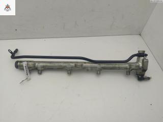 топливная рампа Mercedes-Benz A-Класс W168/V168 [рестайлинг] 2001, 1.7 л., дизель, МКПП, чёрный, хетчбэк 5 дв., 6110700095