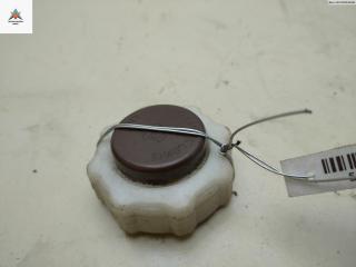 пробка расширительного бачка Nissan Interstar 1 поколение 2008, 2.5 л., дизель, МКПП, белый, микроавтобус