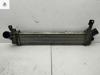 радиатор интеркулера Renault Kangoo 1 поколение [рестайлинг] 2008, 1.5 л., дизель, МКПП, красный, фургон, 8200732390