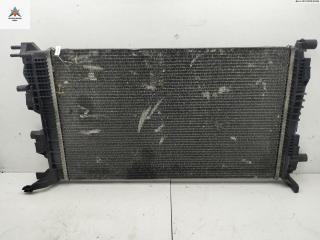 радиатор охлаждения Renault Scenic 3 поколение 2011, 1.4 л., бензин, МКПП, чёрный, минивэн, 214100002R