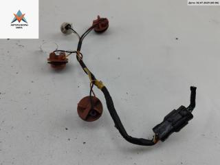 Патрон лампы фонаря Kia Carens 3 поколение 2006, 2.0 л., дизель, МКПП, серый, минивэн