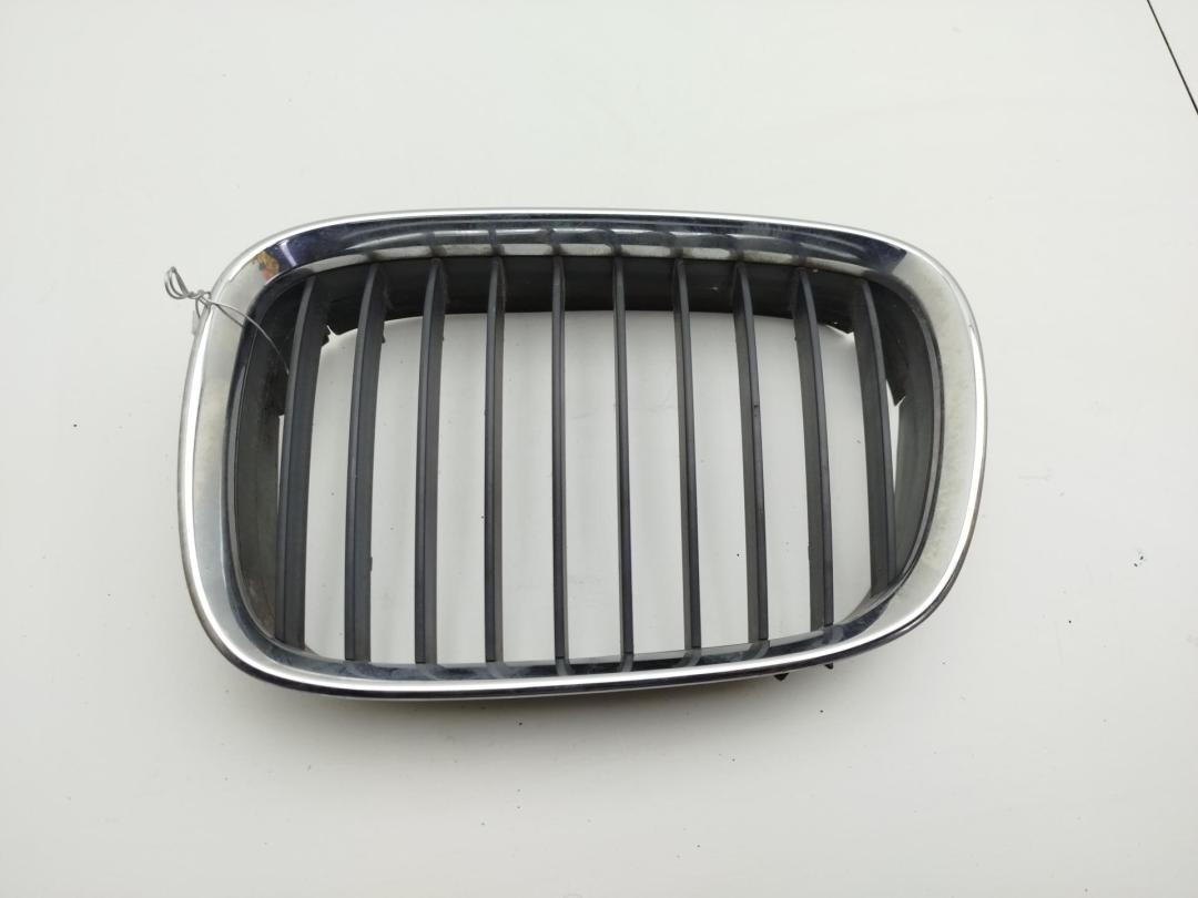 решетка радиатора BMW 5 E39 1998, зелёный, седан, 8159311