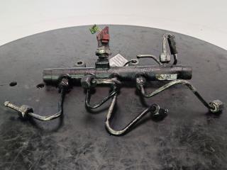 топливная рампа Renault Megane 2 поколение 2004, Дизель 1.5, цвет, 8200397346