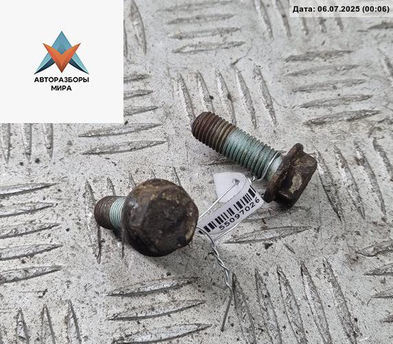Болт крепления Volkswagen Passat B4 1996, 2.0 л., бензин, АКПП, серый, универсал - фото №1