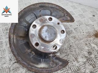 ступица задняя левая Volkswagen Caddy 3 поколение 2006, 1.9 л., дизель, МКПП, жёлтый, фургон