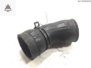 патрубок интеркулера Volkswagen Sharan 1 поколение [рестайлинг] 2002, 1.9 л., дизель, АКПП, синий, минивэн