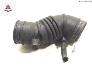 гофра инжектора Hyundai Getz 1 поколение 2002, 1.3 л., бензин, МКПП, хетчбэк 5 дв., 28138-1C250