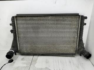 радиатор интеркулера Volkswagen Caddy 2011, 1.6 л., дизель, МКПП, белый, фургон, 1K0145803BM