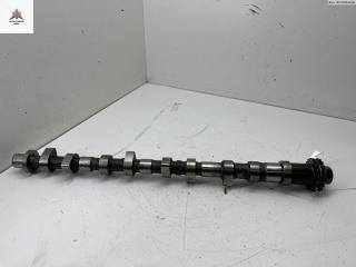 распредвал Nissan X-Trail T30 [рестайлинг] 2005, 2.2 л., дизель, МКПП, серый, внедорожник 5 дв.