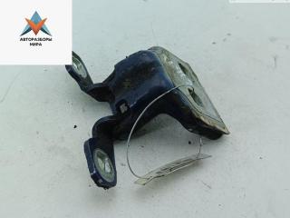 петля двери Dacia (Renault) Logan 2006, синий, седан, 868F