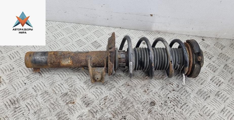 стойка передняя Skoda Octavia mk2 (A5 1Z) 2004, 2.0 л., дизель, МКПП, серый, хетчбэк 5 дв. - фото №1