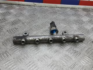 топливная рампа Peugeot 407 1 поколение 2007, 2.0 л., HDi, дизель, МКПП, седан, 9645689580