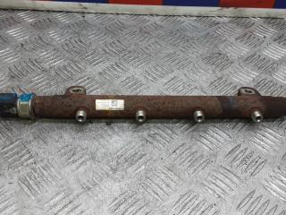 топливная рампа Land Rover Range Rover 3 поколение [рестайлинг] 2008, 3.6 л., D TDV8, дизель, АКПП, внедорожник 5 дв., A2C20001377