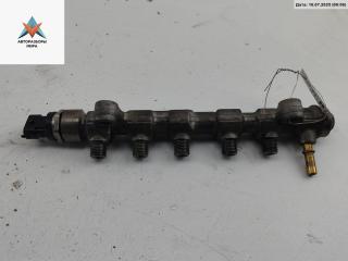 топливная рампа Renault Espace 4 поколение 2005, 2.2 л., дизель, АКПП, чёрный, минивэн, 0445214142