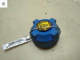 пробка расширительного бачка Fiat Doblo 1 поколение [рестайлинг] 2006, 1.3 л., дизель, МКПП, серый, фургон, A878