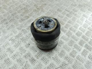 пневмоподушка BMW 5 E39 2003, 2.2 л., бензин, МКПП, универсал, 1095082