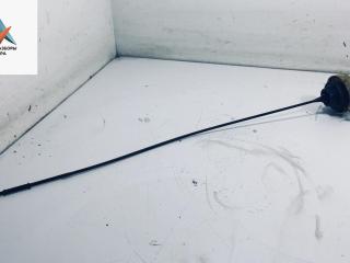 щуп двигателя Opel Movano 1 поколение (A) [рестайлинг] 2003, 1.9 л., дизель, МКПП, белый, микроавтобус