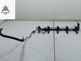 топливная рампа Ford S-Max 1 поколение 2006, 2.5 л., бензин, МКПП, серый, минивэн, 0261230110