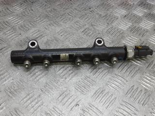 топливная рампа Peugeot 3008 1 поколение 2010, 1.6 л., дизель, МКПП, хетчбэк 5 дв., 9684753080-02