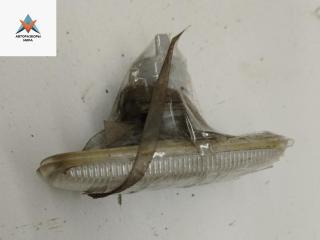 повторитель передний левый Audi A6 4B/C5 1998, 2.4 л., бензин, МКПП, серый, седан