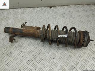 стойка передняя Ford Fusion 1 поколение 2003, 1.4 л., бензин, МКПП, чёрный, хетчбэк 5 дв.