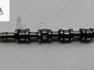 распредвал Volkswagen Touran 1 поколение 2005, 2.0 л., дизель, АКПП, чёрный, минивэн