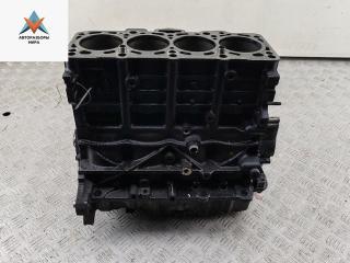 блок цилиндров Volkswagen Touran 1 поколение 2005, 2.0 л., дизель, АКПП, 038021CF
