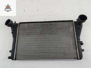 радиатор интеркулера Volkswagen Touran 1 поколение 2005, 2.0 л., дизель, МКПП, серый, минивэн, 1K0145803
