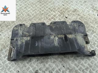 защита двигателя Hyundai H-1 Starex [рестайлинг] 2006, 2.5 л., дизель, МКПП, белый, минивэн, 29110-4A001