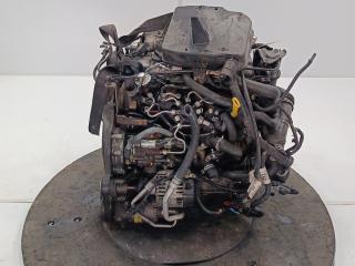 двигатель Ford Focus 2 поколение 2006, цвет, KKDA