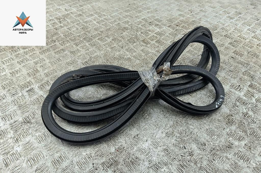 уплотнитель двери Mercedes-Benz Vito-2 / Viano W639 2006, 2.2 л., дизель, МКПП, красный, микроавтобус - фото №1