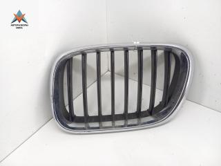 решетка радиатора BMW X5 E53 2001, белый, внедорожник 5 дв., 51138247673