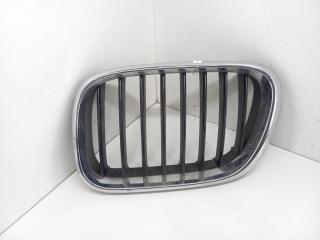 решетка радиатора BMW X5 E53 2001, белый, внедорожник 5 дв., 51138247673