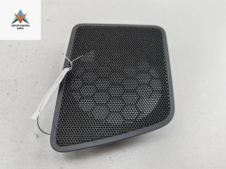 Сетка (решетка) динамика Volkswagen Caddy 3 поколение 2007, 1.4 л., бензин, МКПП, красный, фургон, 2K0858425