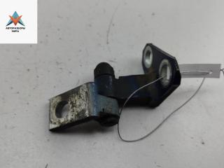 петля двери Volkswagen Passat B6 2009, синий, универсал