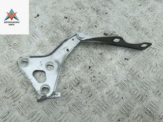 петля капота левая Opel Zafira 1 поколение (A) 2002, серый, минивэн