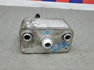 топливный теплообменник (подогреватель топлива) BMW X5 E53 [рестайлинг] 2005, 3.0 л., дизель, АКПП, внедорожник 5 дв.